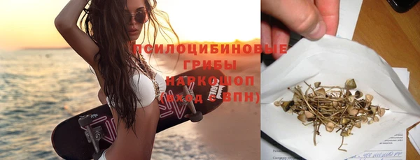 эйфоретик Белокуриха