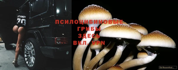 эйфоретик Белокуриха