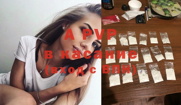 эйфоретик Белокуриха