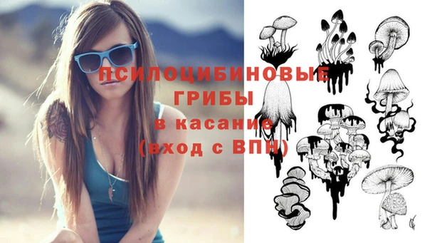 эйфоретик Белокуриха