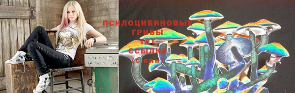 эйфоретик Белокуриха