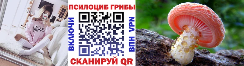 магазин    Салават  Галлюциногенные грибы Cubensis 